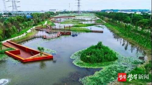 2100万省级奖励！苏州这片区域生态环境建设喜获肯定，水污染治理成效显著