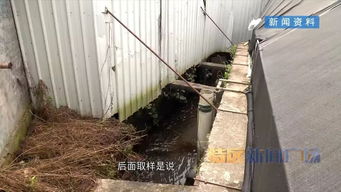 河长制推动河长治 集美区清退污染溪流养鳗场，启动“三溪”全面治理