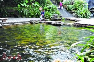 2017年广州市两会 水务局预算剑指水污染治理，高效着力环保技术开发服务