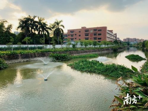 营造水清岸绿 石排水污染治理与人居环境改善的环保技术开发服务实践